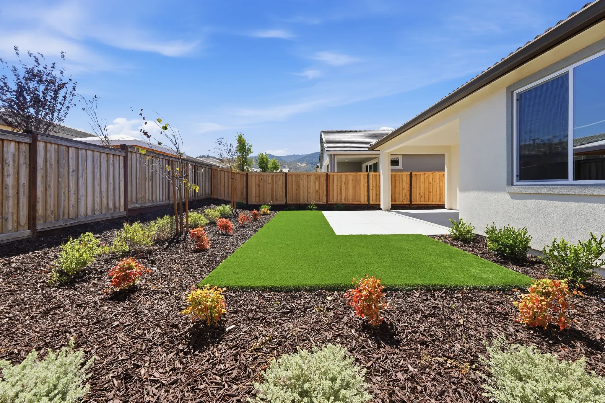 Backyard