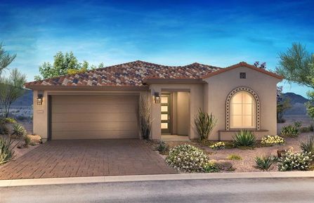 Acacia by Shea Homes-Trilogy in Phoenix-Mesa AZ