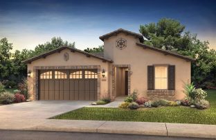 Cannes - Encanterra a Trilogy Resort Community: Queen Creek, Arizona - Shea Homes-Trilogy