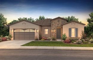 Cordoba - Encanterra a Trilogy Resort Community: Queen Creek, Arizona - Shea Homes-Trilogy