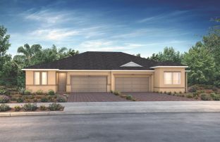 Valletta - Ocala Preserve: Ocala, Florida - Shea Homes-Trilogy