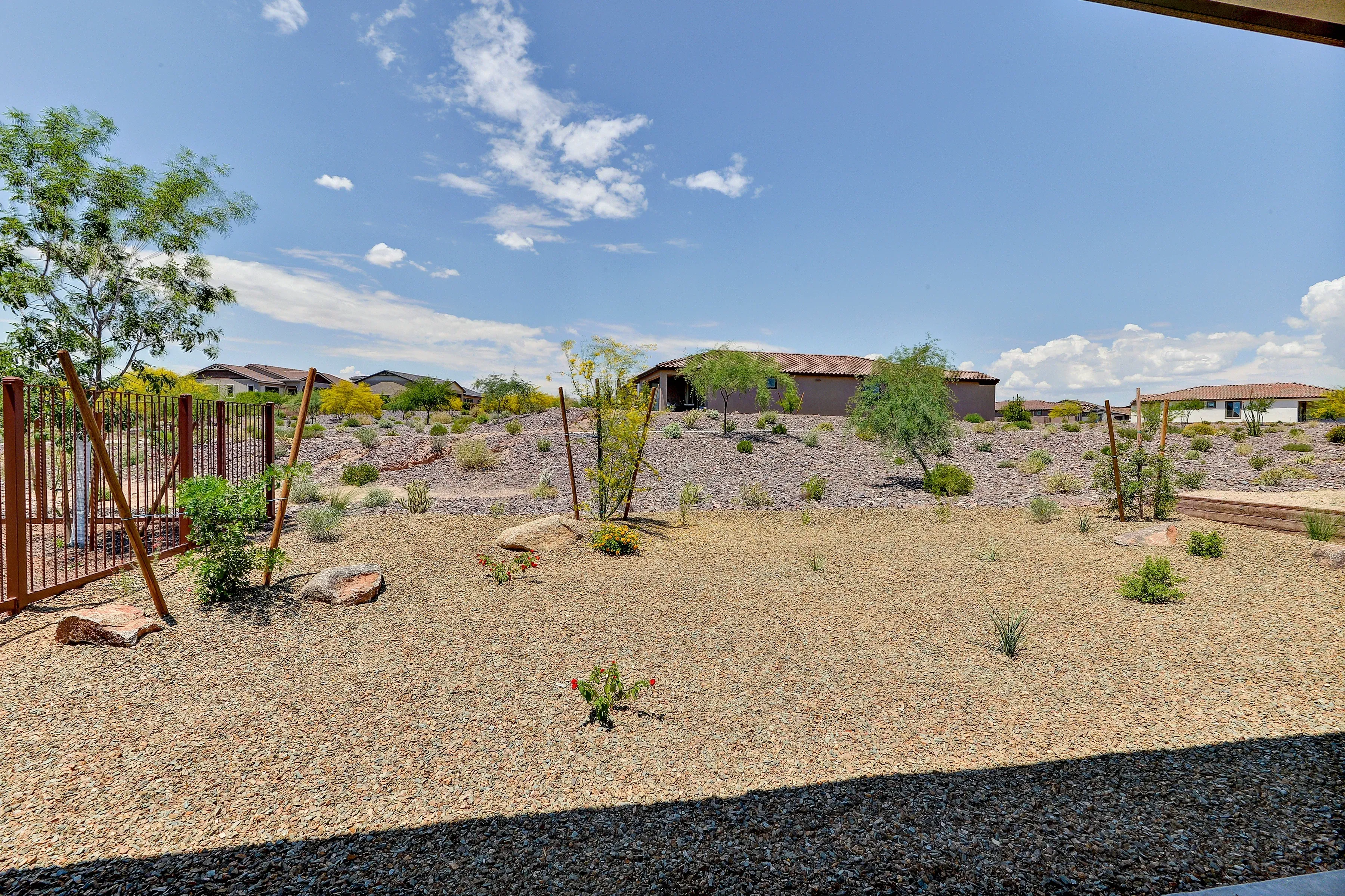 Backyard