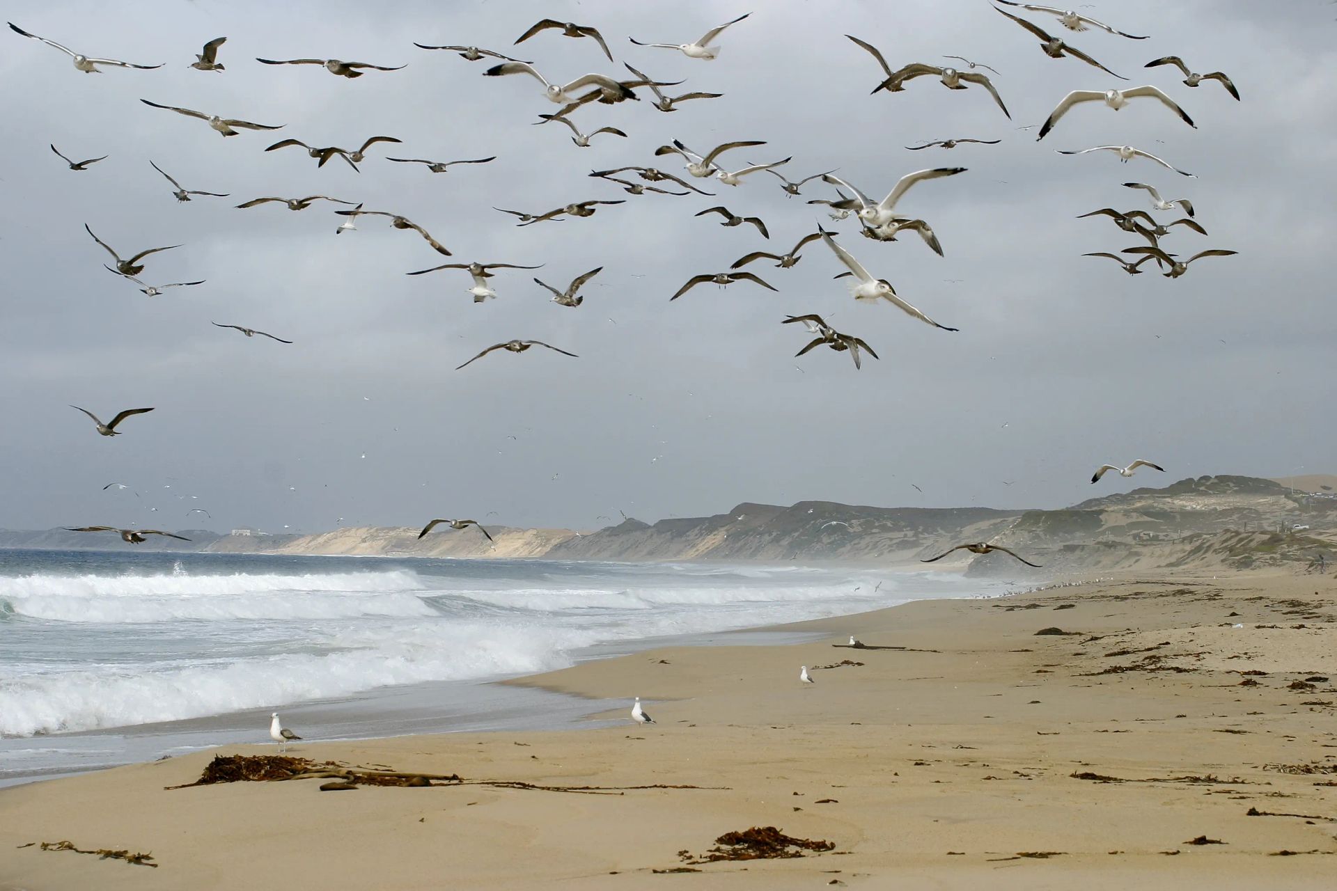 Monterey, Just 1 Hour Away