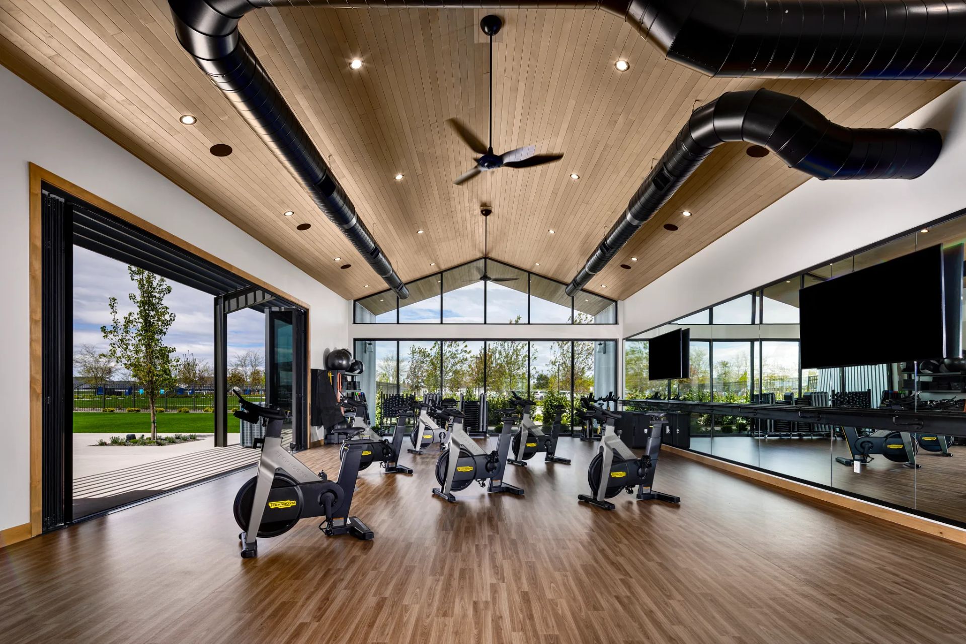 Movement Studio