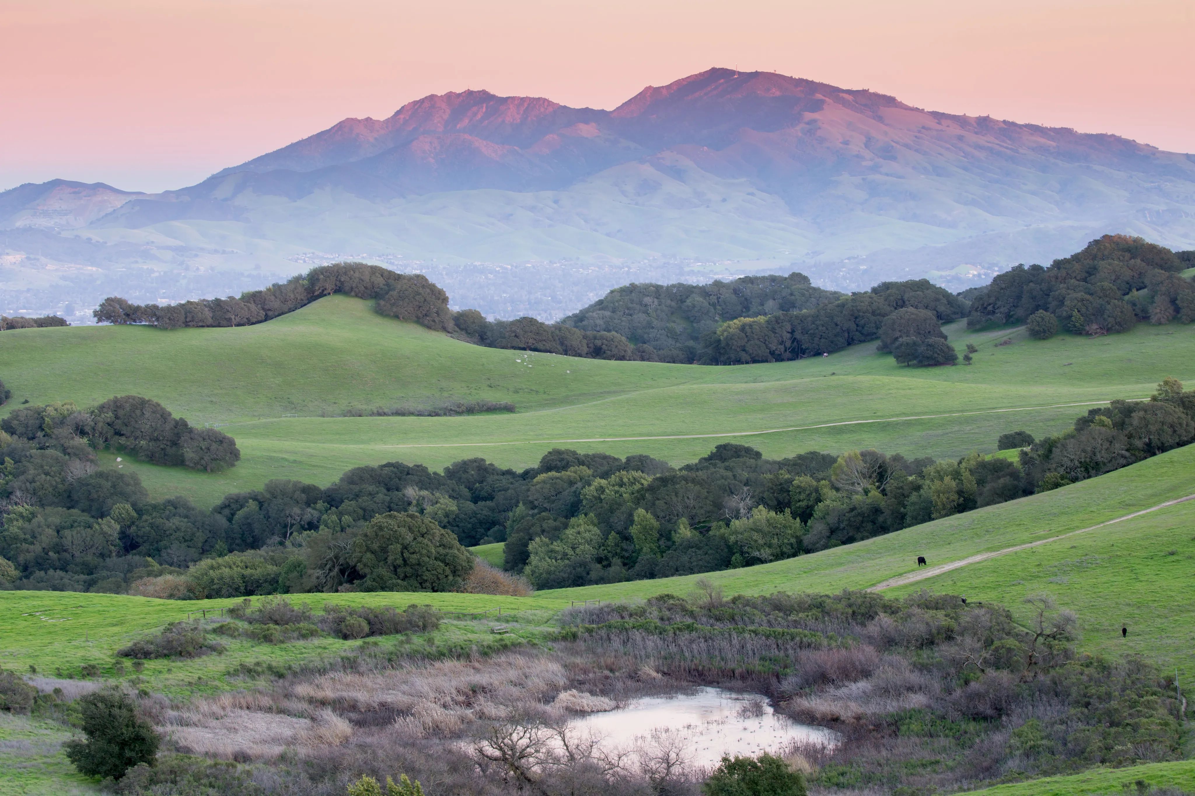 Mount Diablo