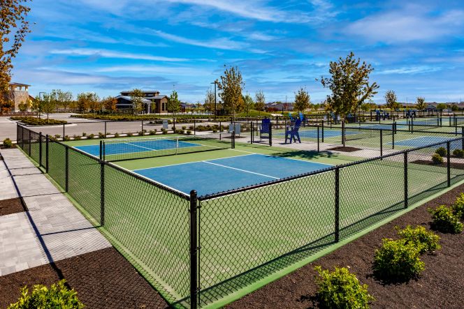 Pickleball Courts