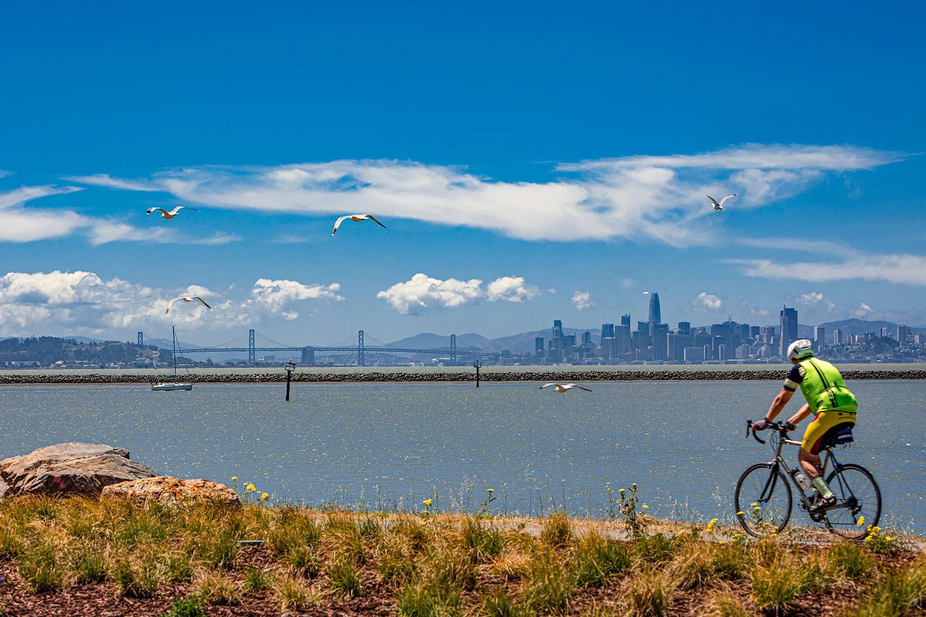 Biking Around San Francisco