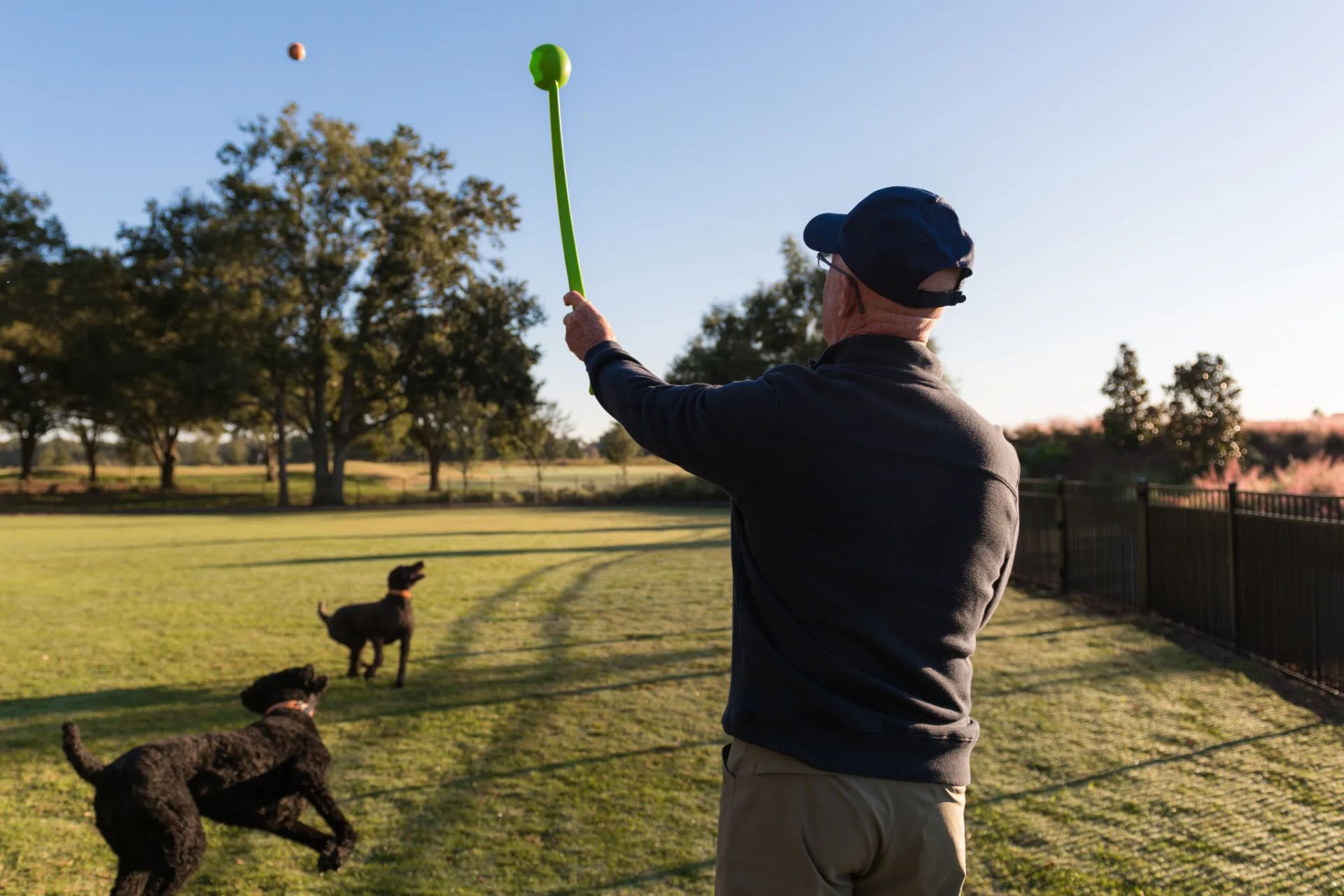 Dog Park