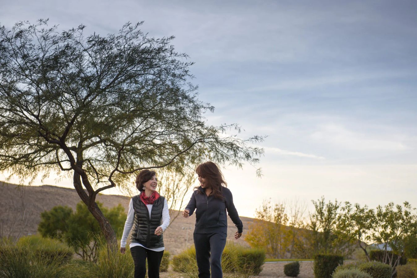 Trilogy Homeowners Walking