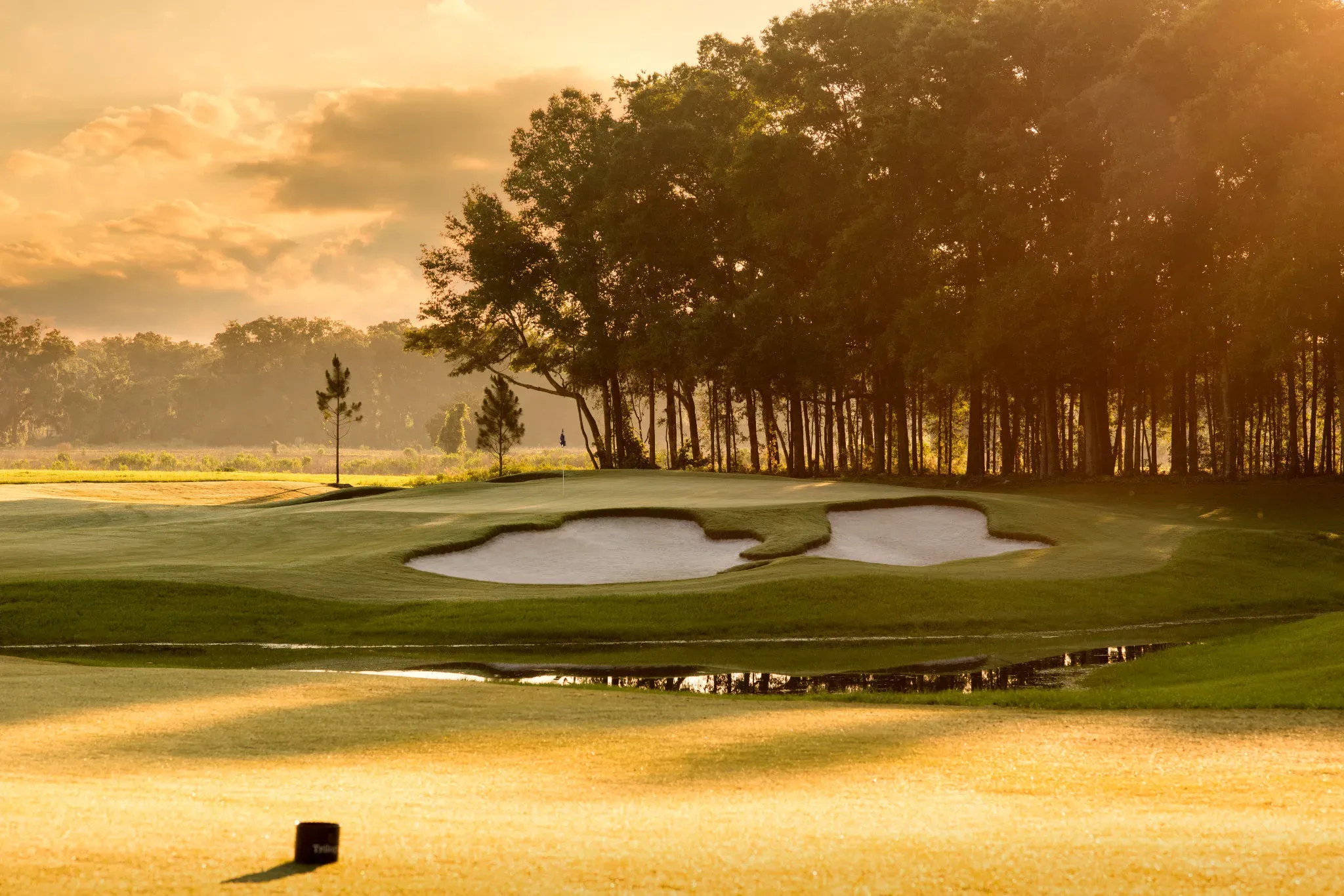 The Club at Ocala Preserve