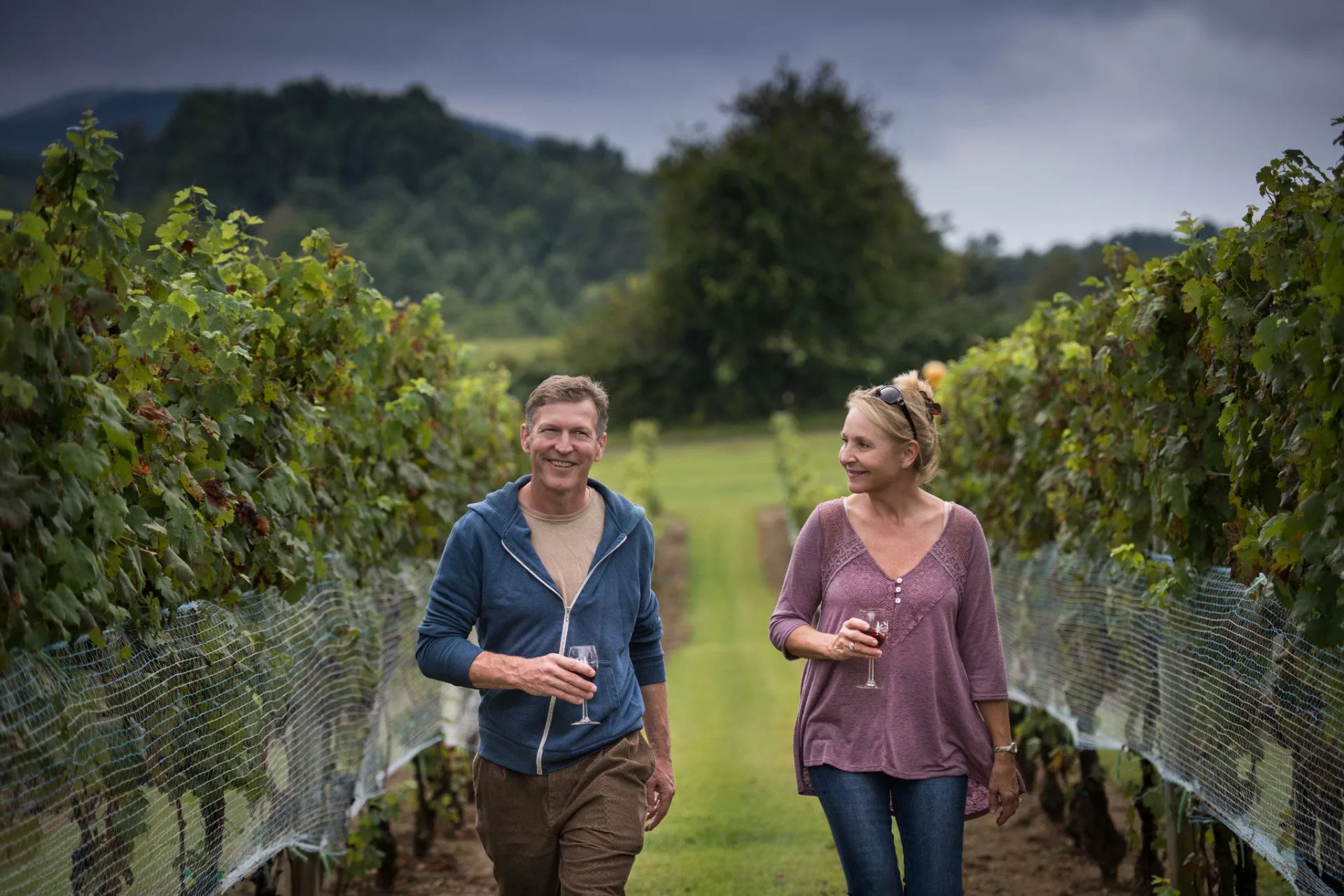 Explore the Surrounding Vineyards