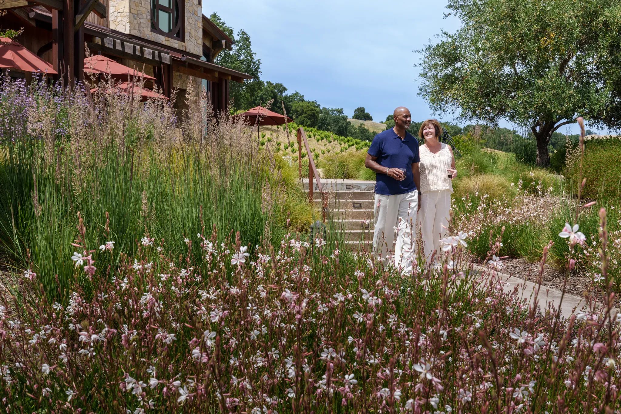 Strolling a Local Vineyard