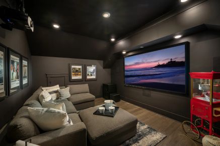 Willow Model Media Room