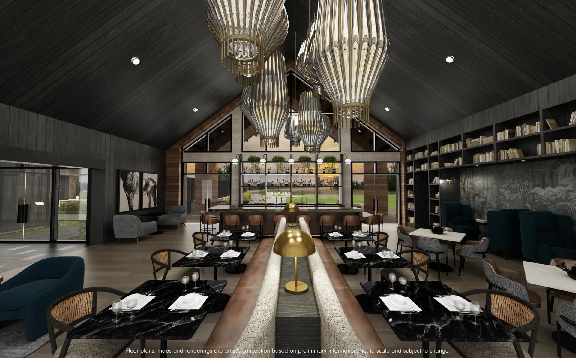 Preliminary Wellness Social Club Rendering