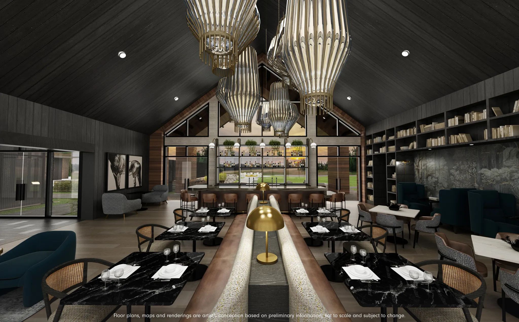 Preliminary Wellness Social Club Rendering