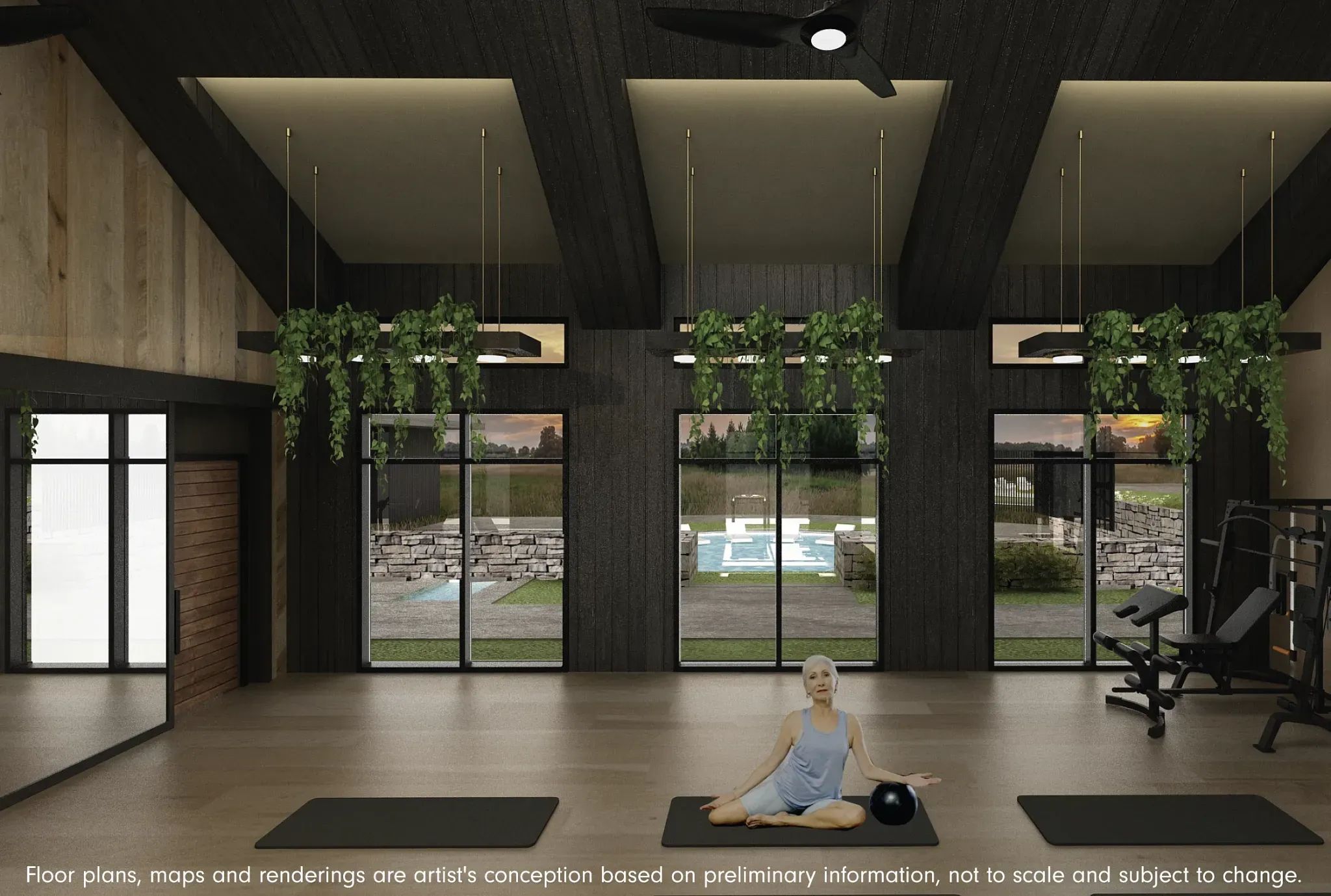 Preliminary Wellness Social Club Rendering