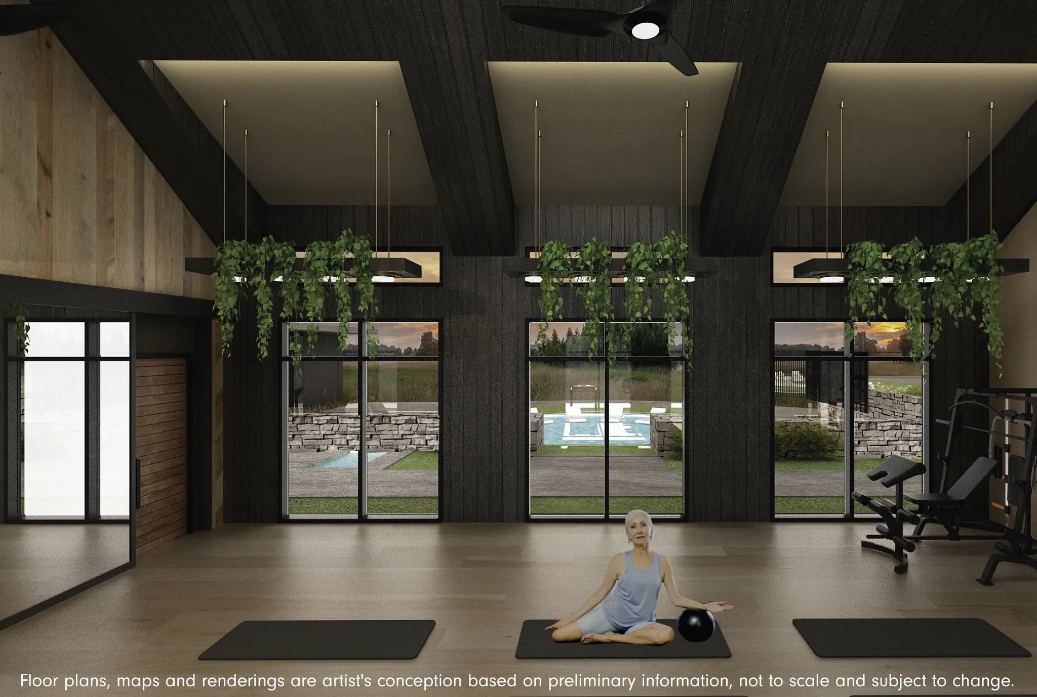 Preliminary Wellness Social Club Rendering
