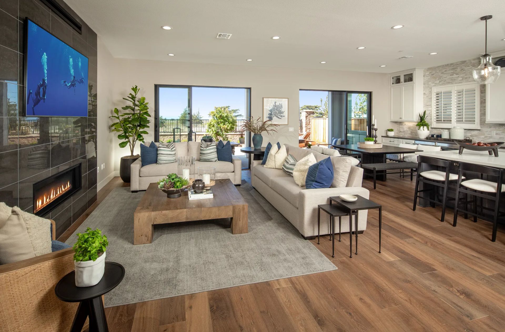 Sky House Plan 1X Model Great Room