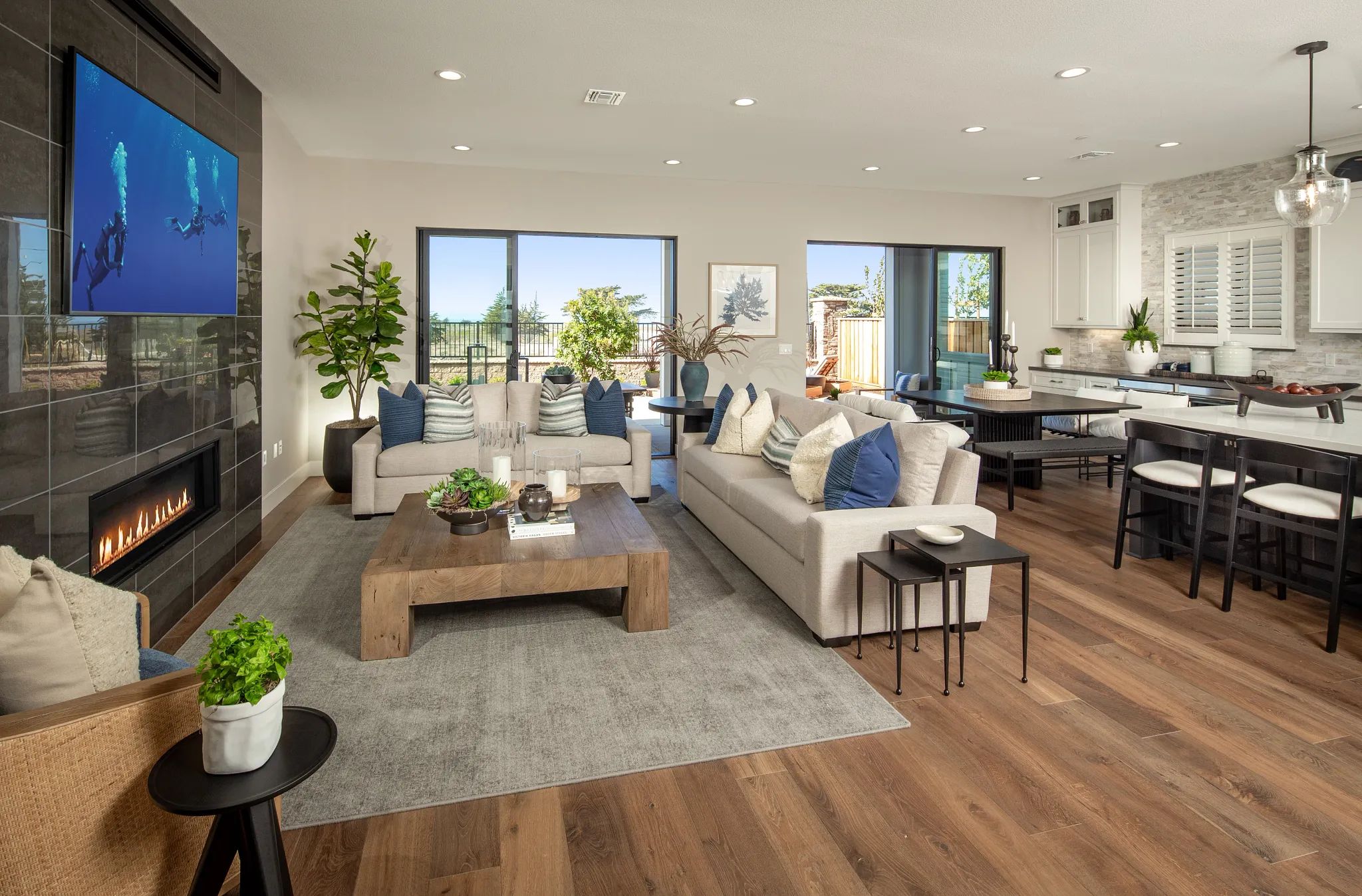 Sky House Plan 1X Model Great Room