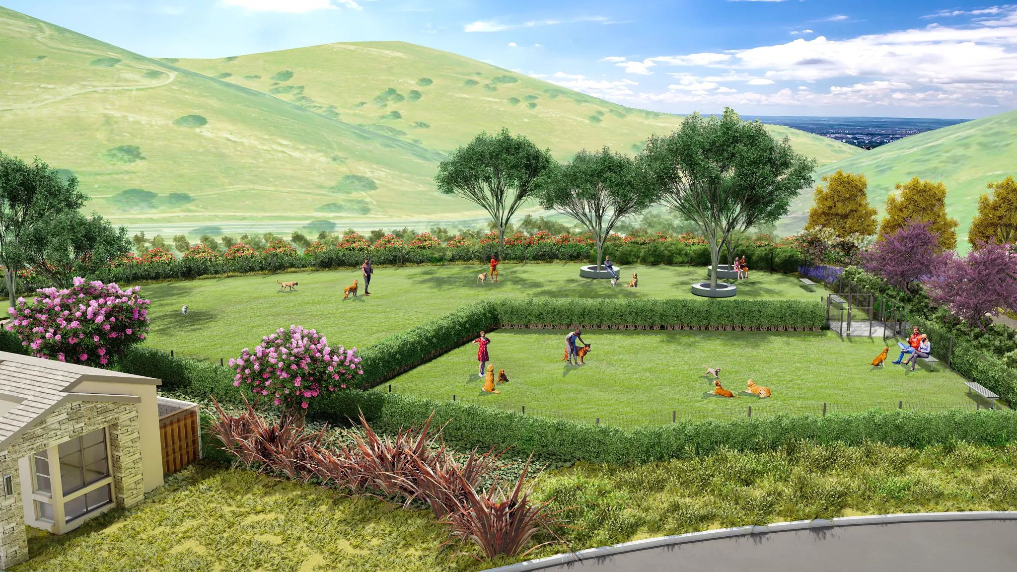 The Meadows Dog Park Rendering