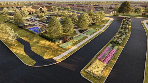 Community Entry - Rendering