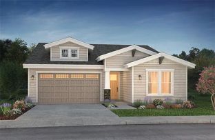 Synergy - Valnova: Eagle, Idaho - Shea Homes-Trilogy