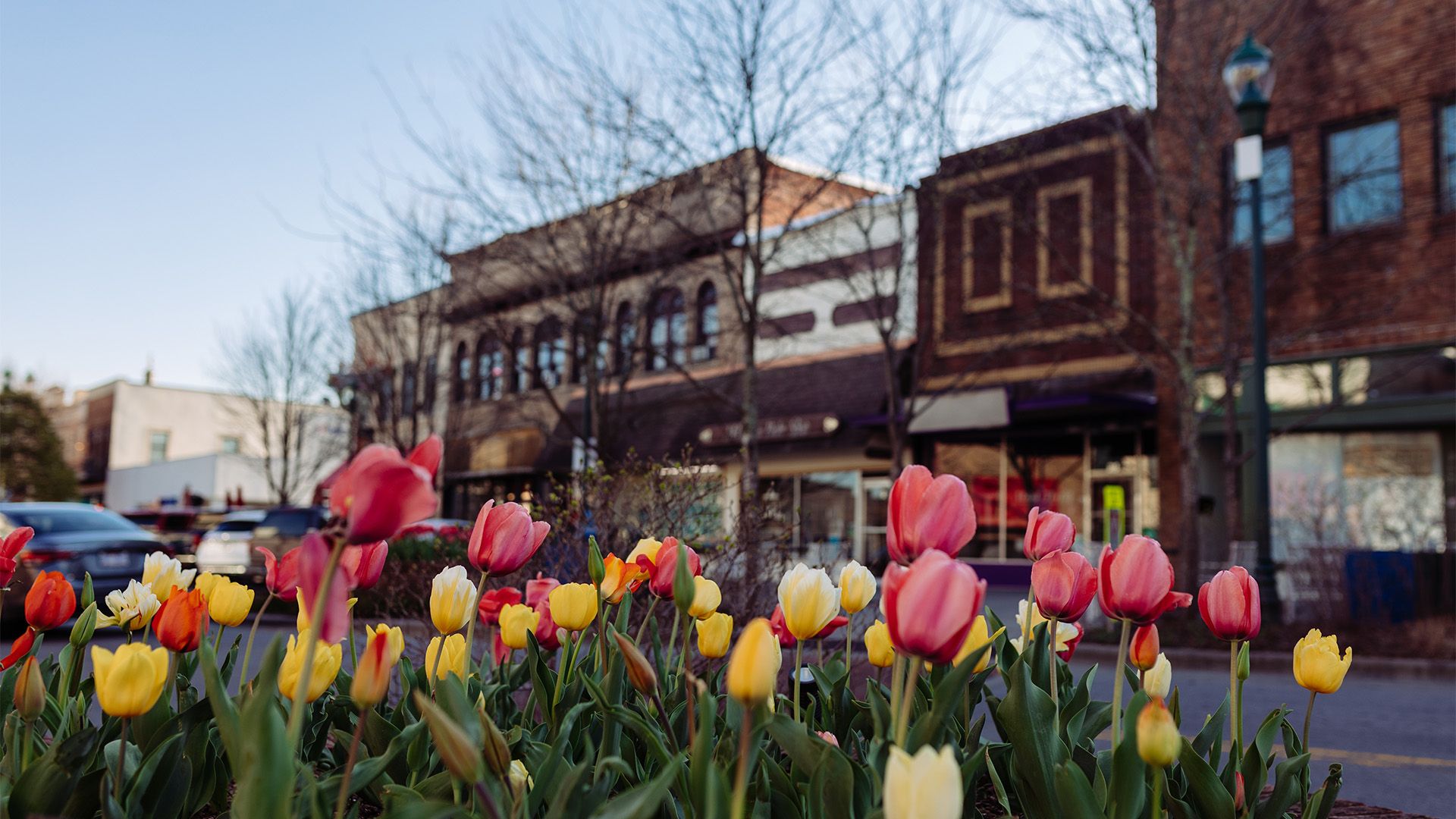 Small Town Charm