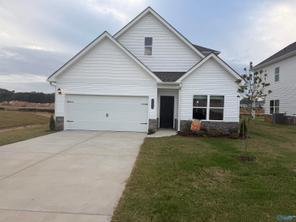 20309 Nightingale Drive (The Caldwell)