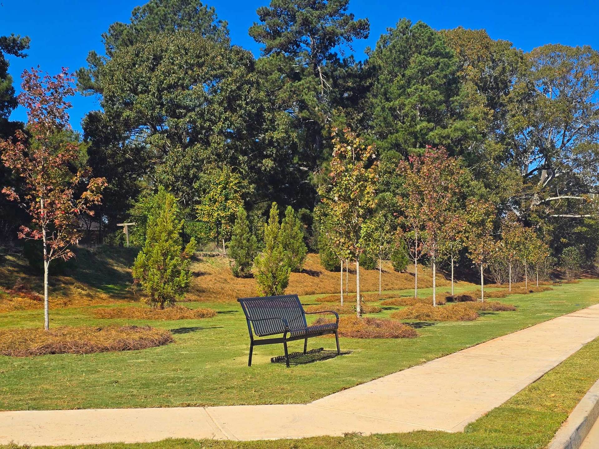 Dog Park