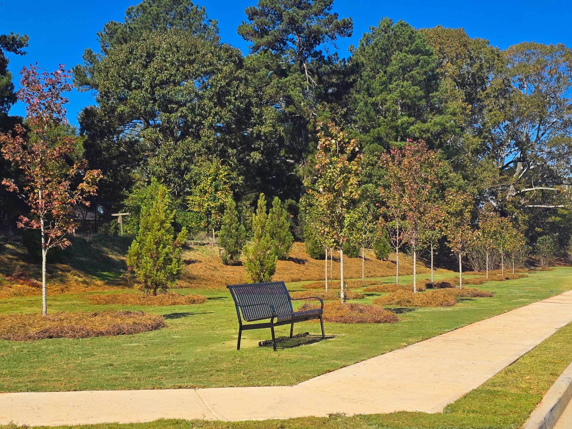 Dog Park