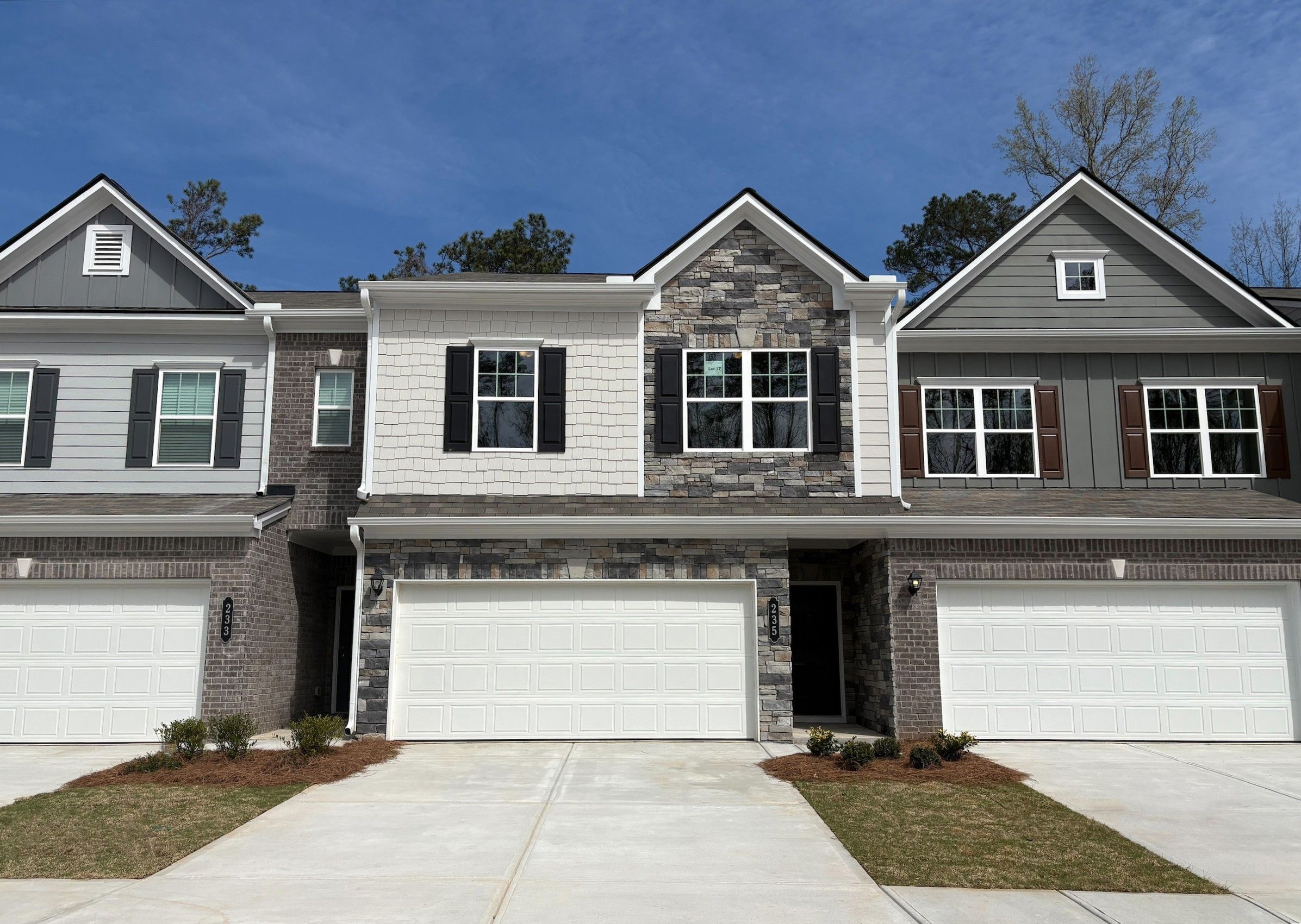 The Ellison II - Jameson Towns: Villa Rica, Georgia - Smith Douglas Homes