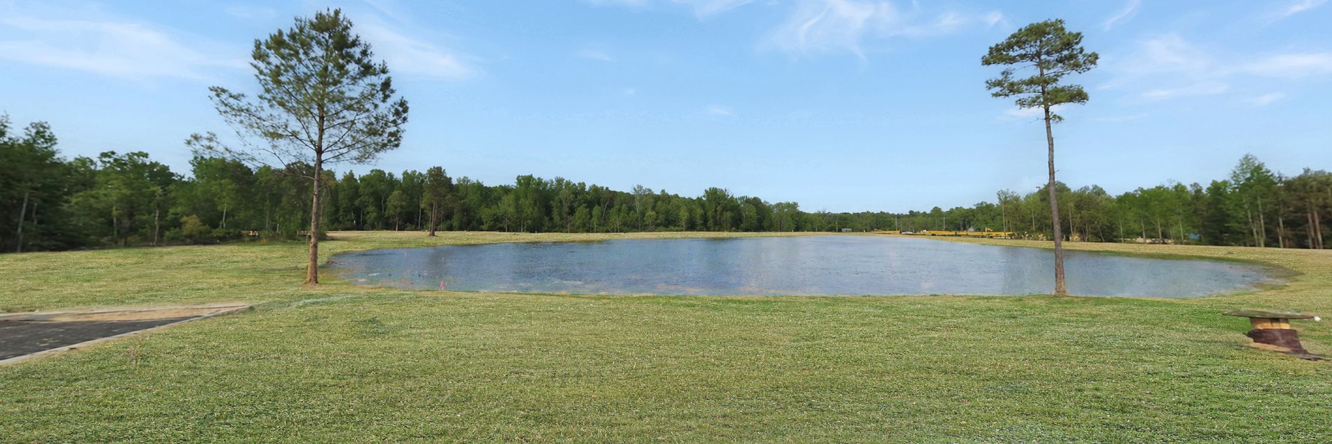 The Exchange Community Pond (AI Representation)