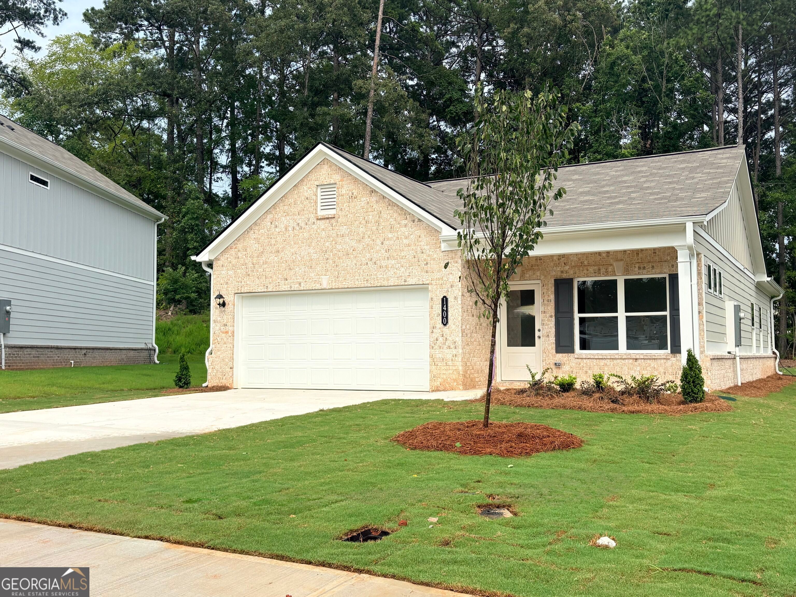 1400 Trellis Court - Trellis Park: Hampton, Georgia - Smith Douglas Homes
