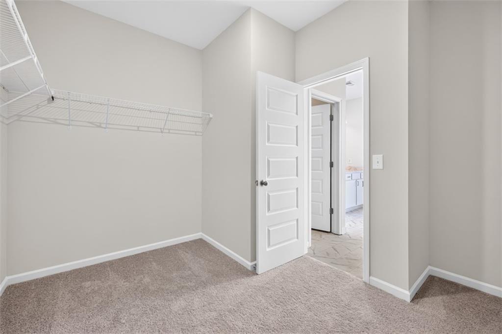 Carpeted interior room featuring neutral wall tones, white trim, and a white five-panel door