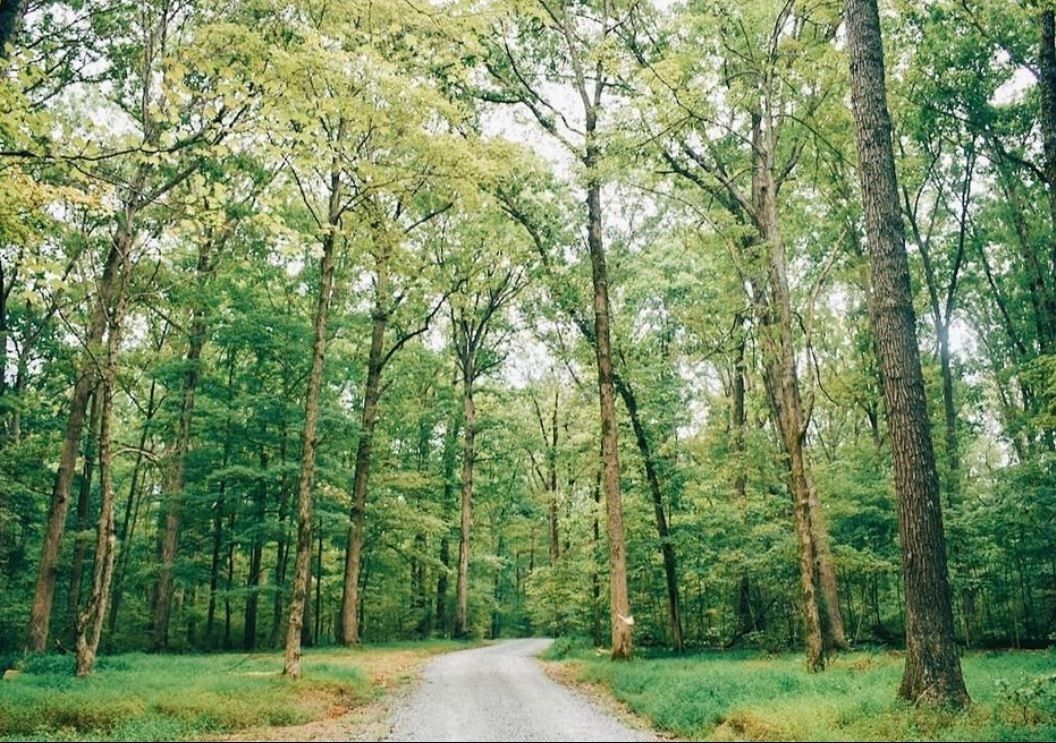 Montgomery Bell State Park offers so much to do, hiking, biking, boating, swimming, camping, restaurants, lounge, meeting room, event places, cabins and more. All of these in 6 miles from your new home.