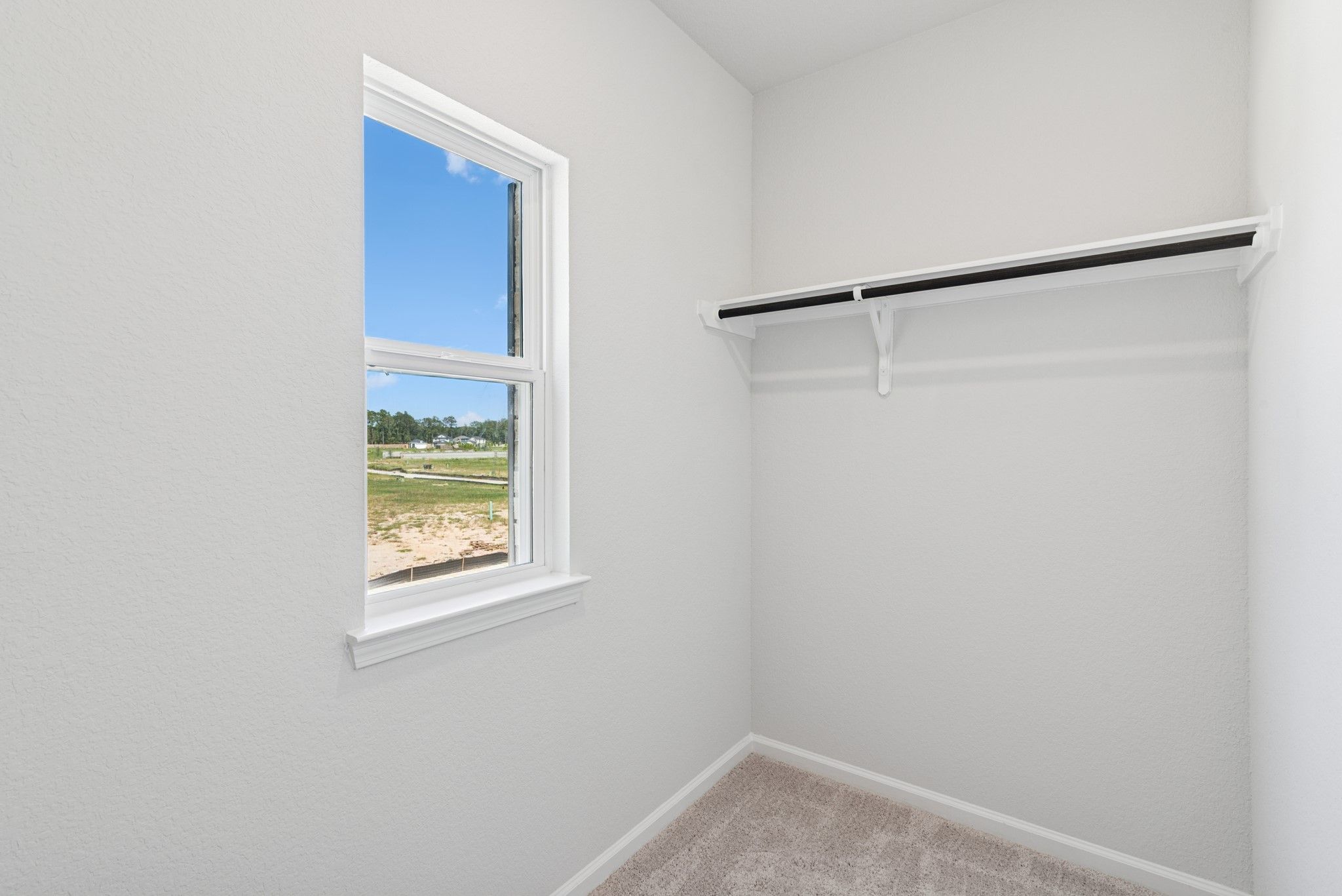 The Oriole II- Primary Bedroom Walk-in Closet 2