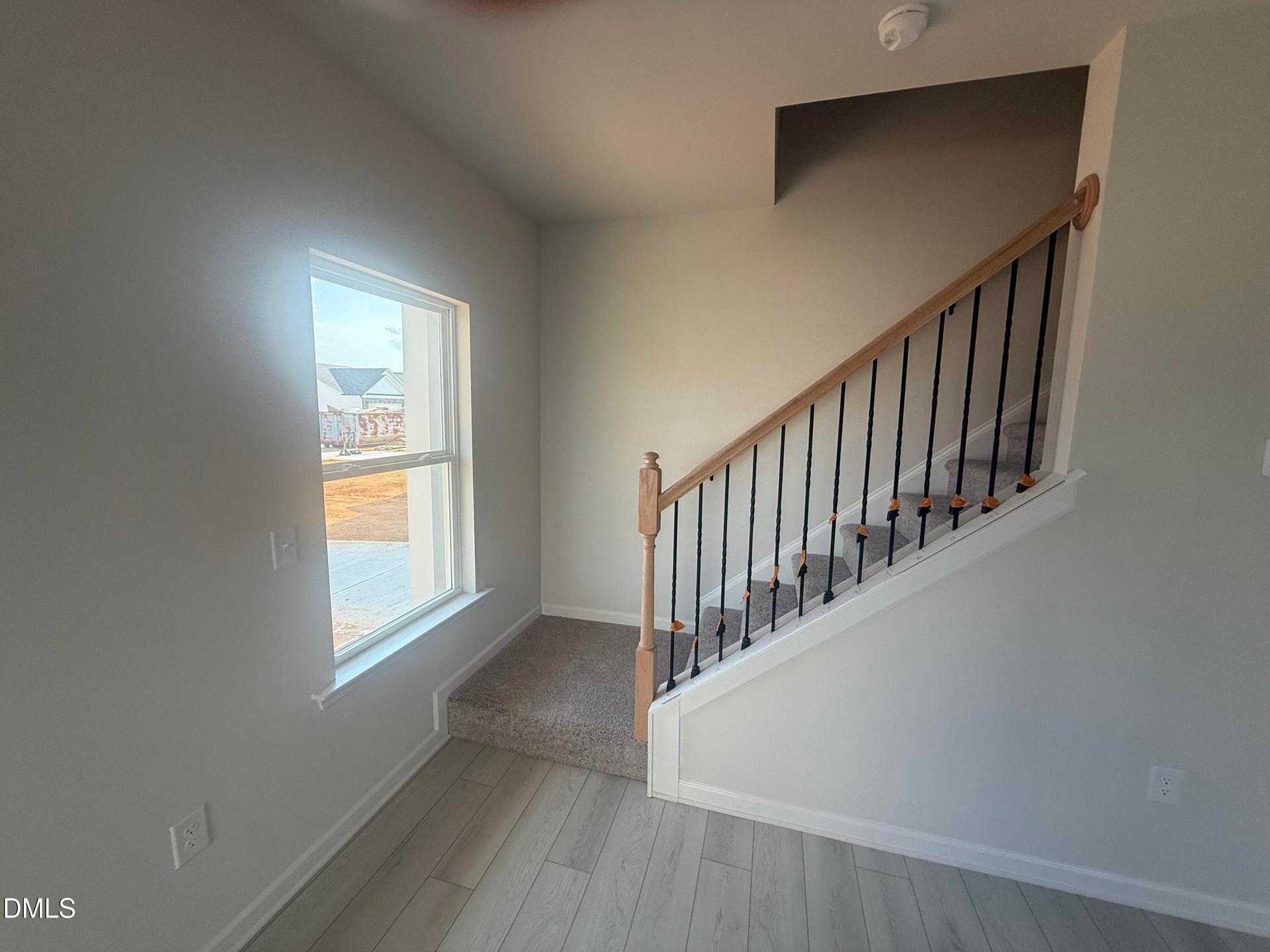IMG_3450