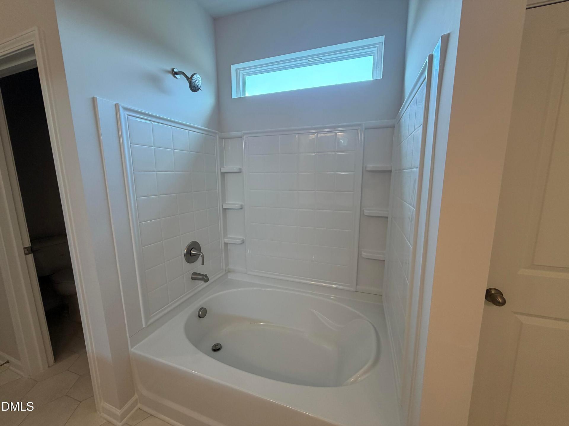 Garden Tub and Shower