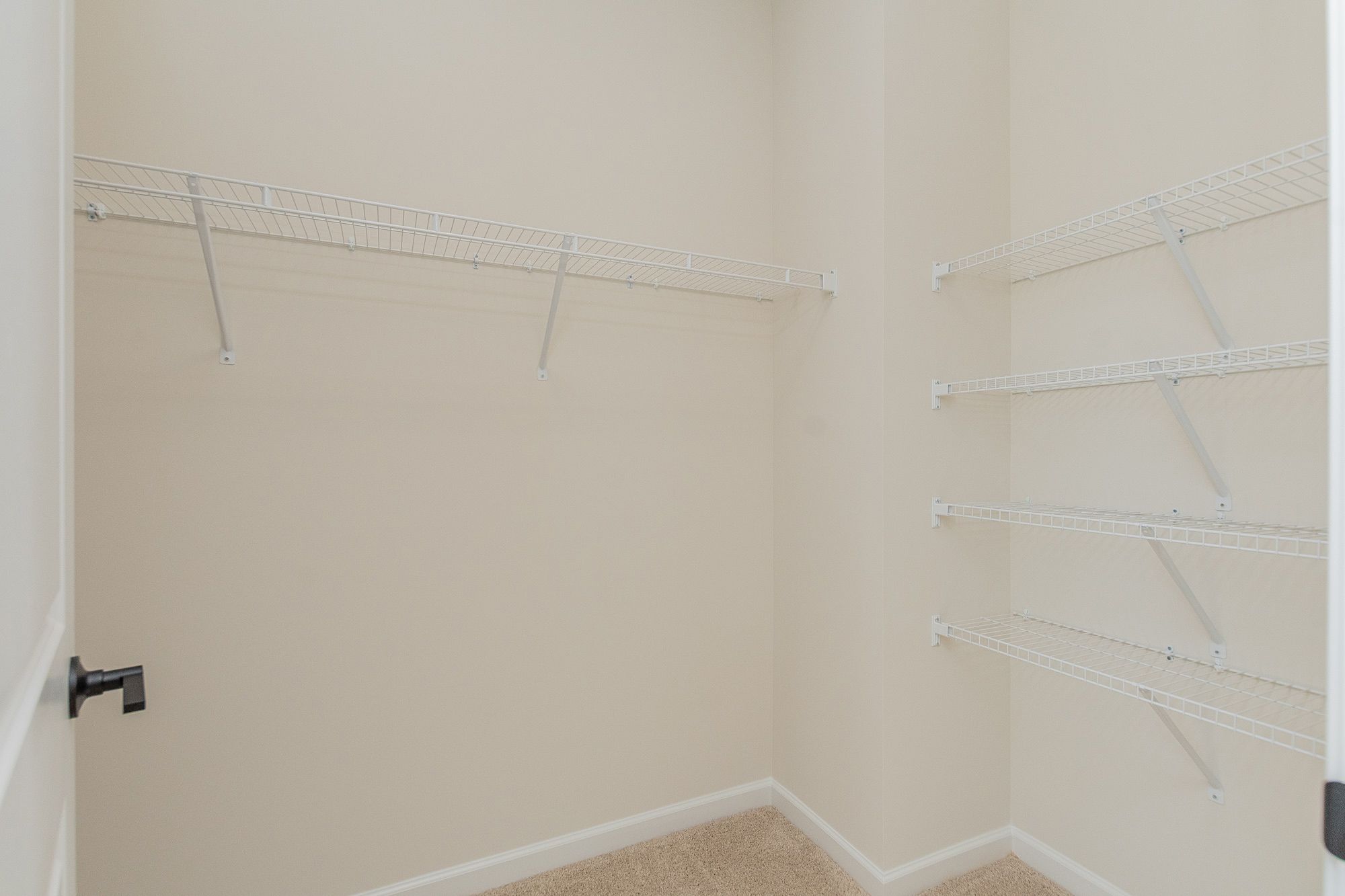 Primary Walk-In Closet
