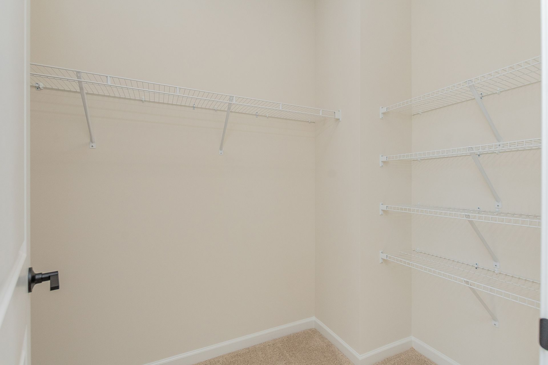 Primary Walk-In Closet