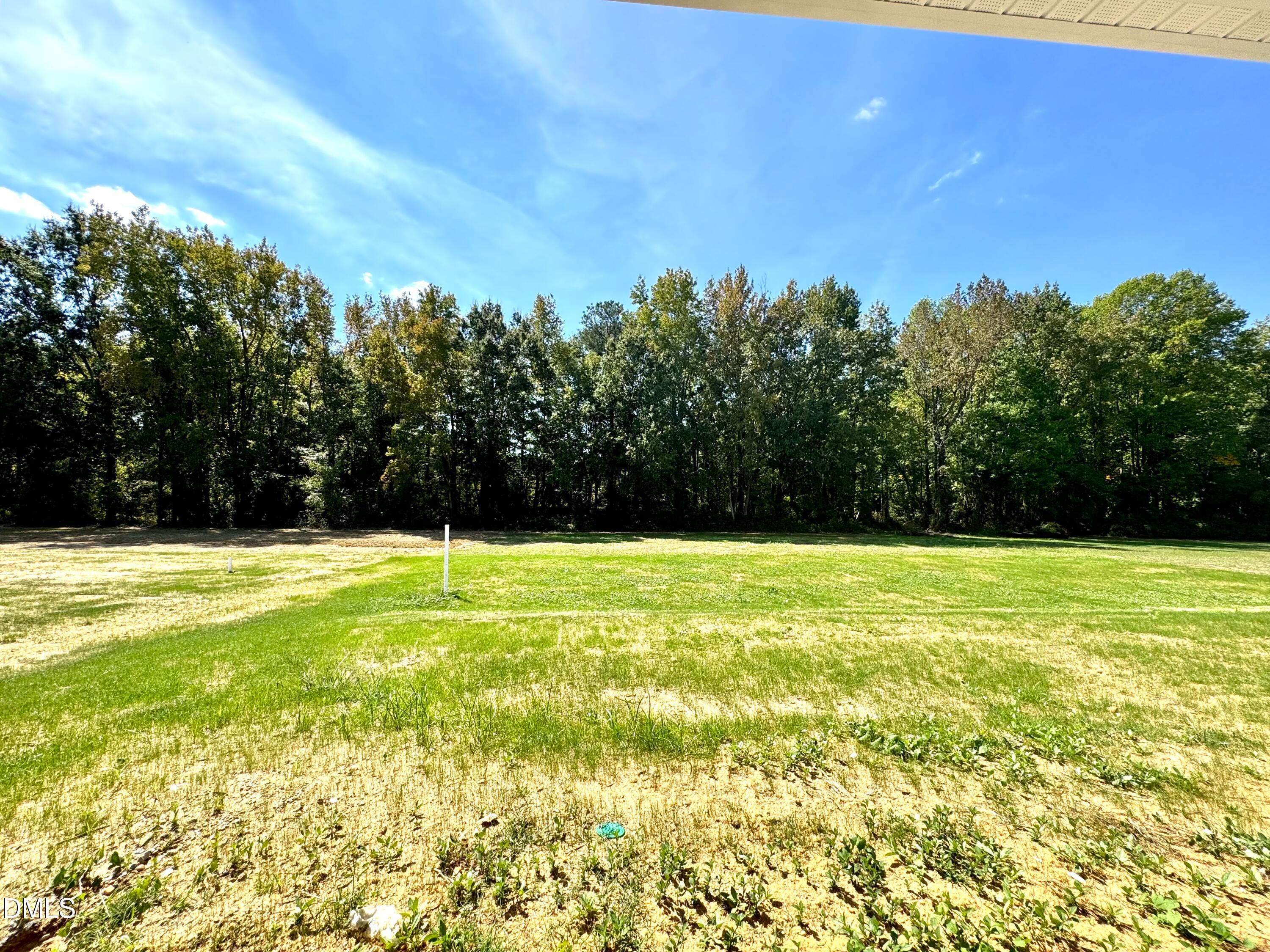 Tree-Lined Back Yard