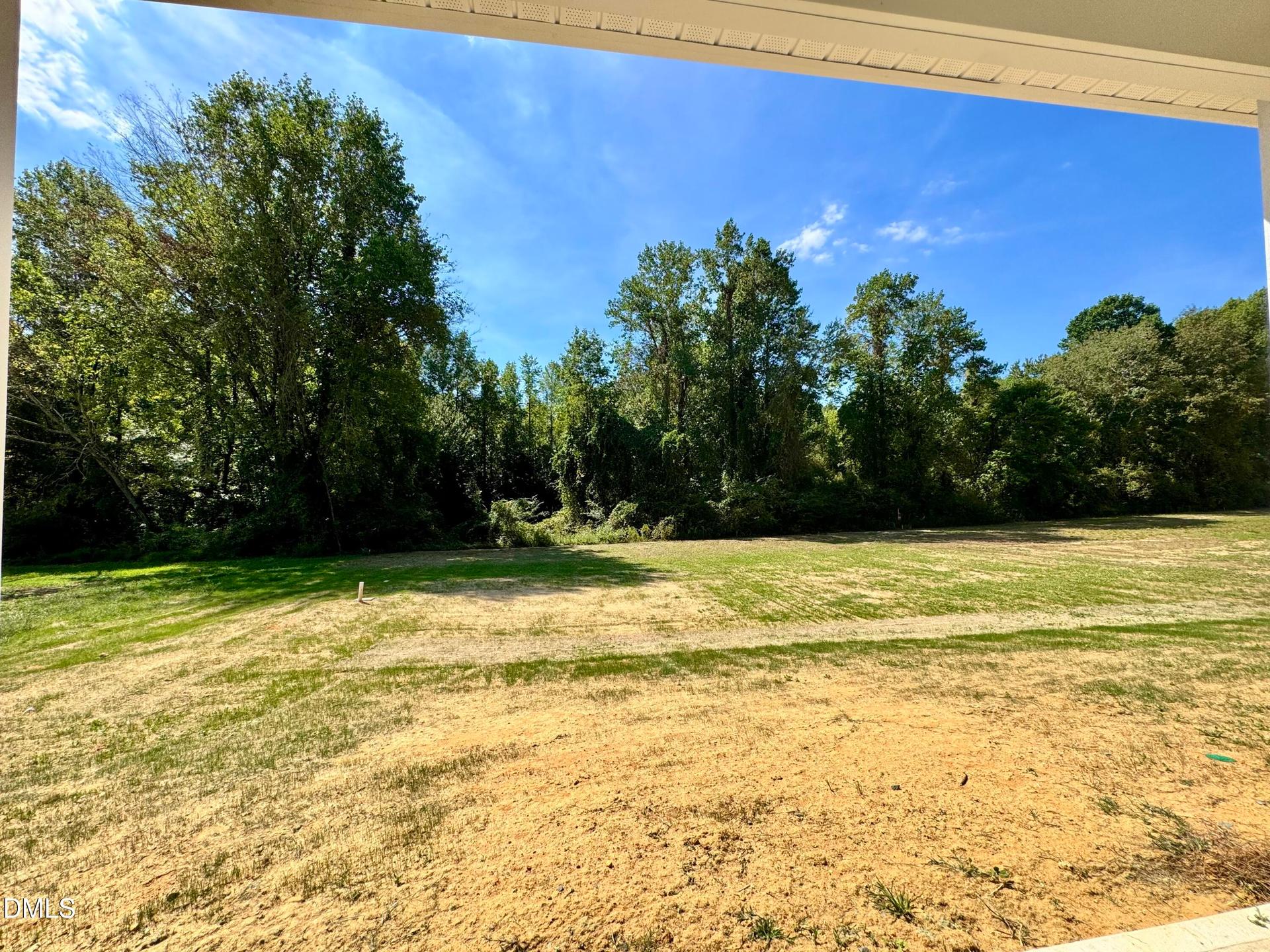 Tree-Lined Back Yard