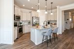 Home in Briarpatch by Smith Douglas Homes