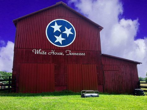 White House, TN