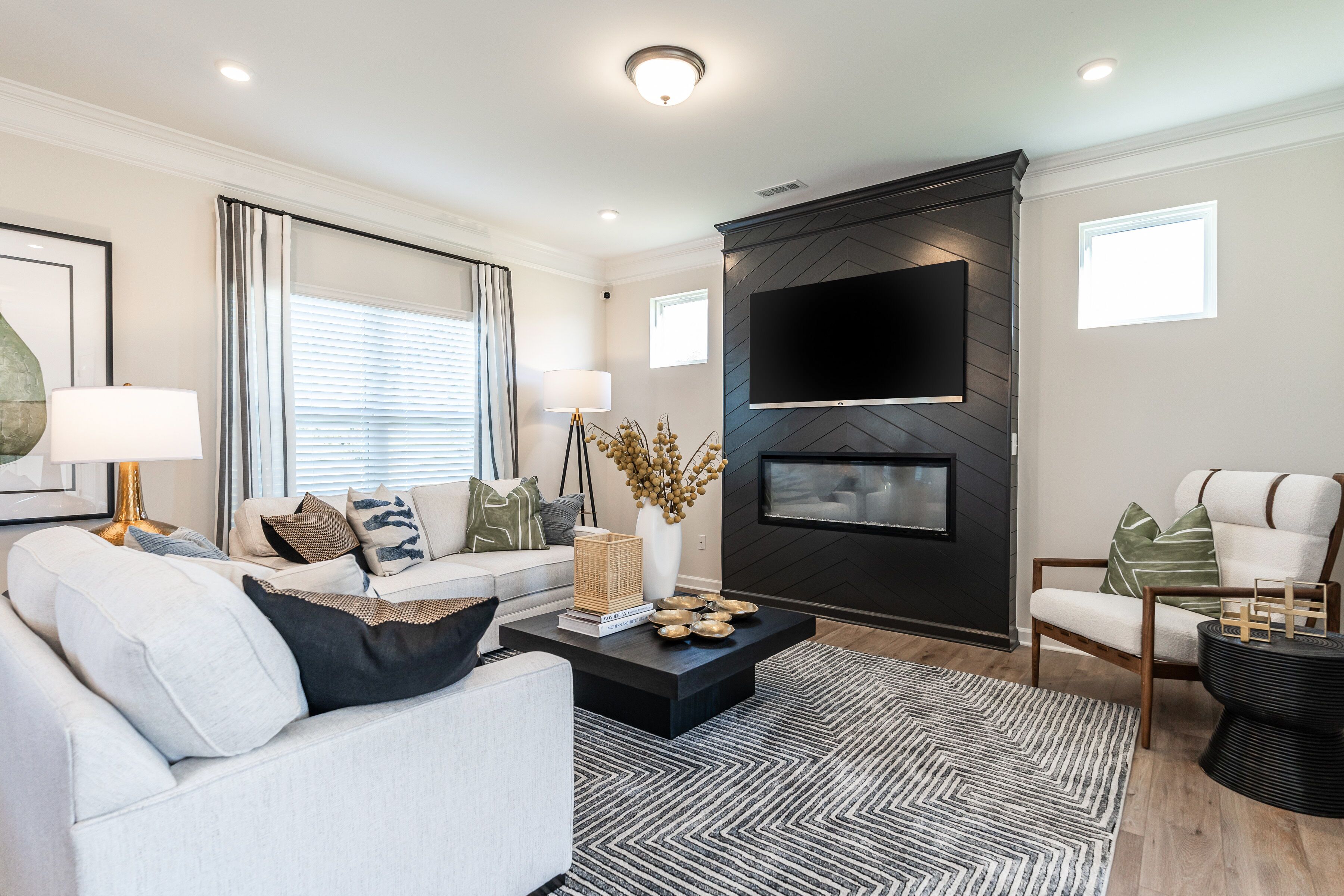 Modern, Open Living Areas
