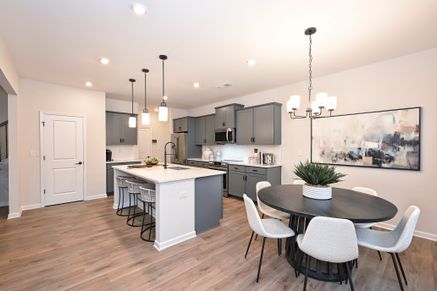 The Harrington - Kitchen
