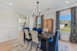 Saddle Ridge - Calhoun, GA