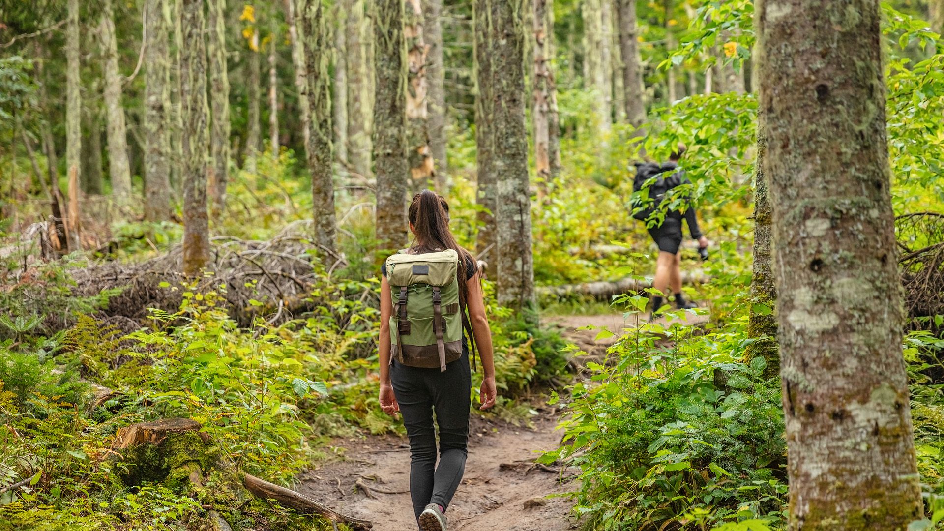 Hike at Raven Rock State Park