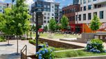 Helmsley - Raleigh, NC