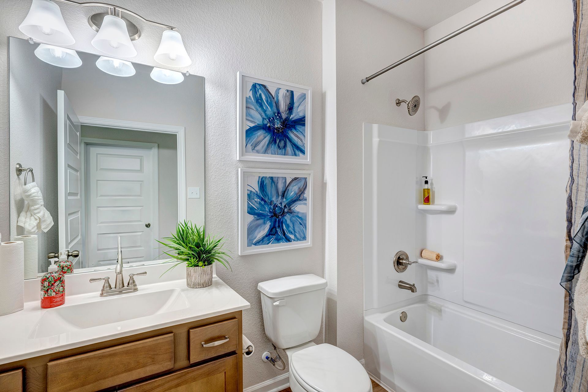 The Piedmont- Hall Bath